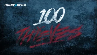 100-thieves