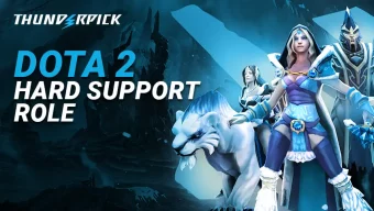 Dota 2 hard support role